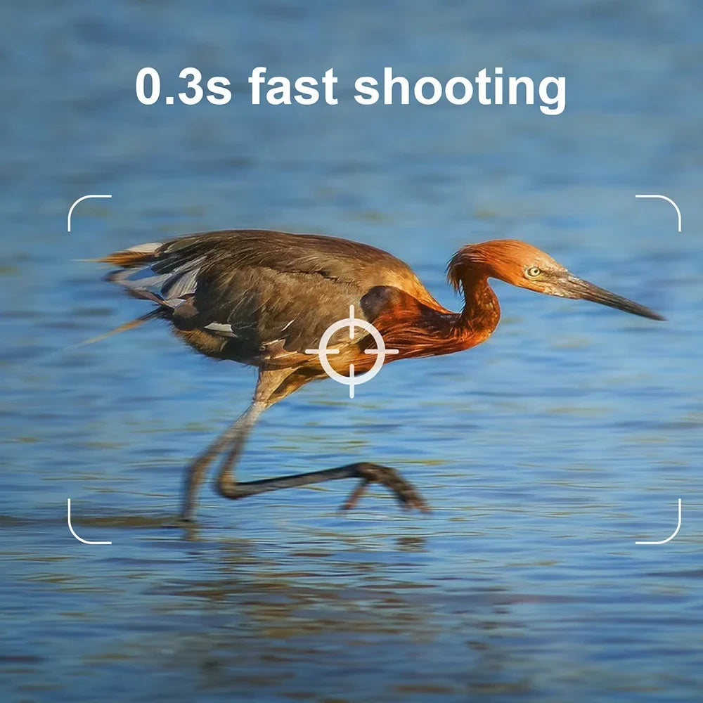 Pristin Camera,Weatherproof 0.2S Speed IP65 Weatherproof 0.2S Months Standby IP65 Camera Motion Small Camera Portable Animal/Plant Outdoor Use 6 Vision Camera Motion Speed Camera Portable