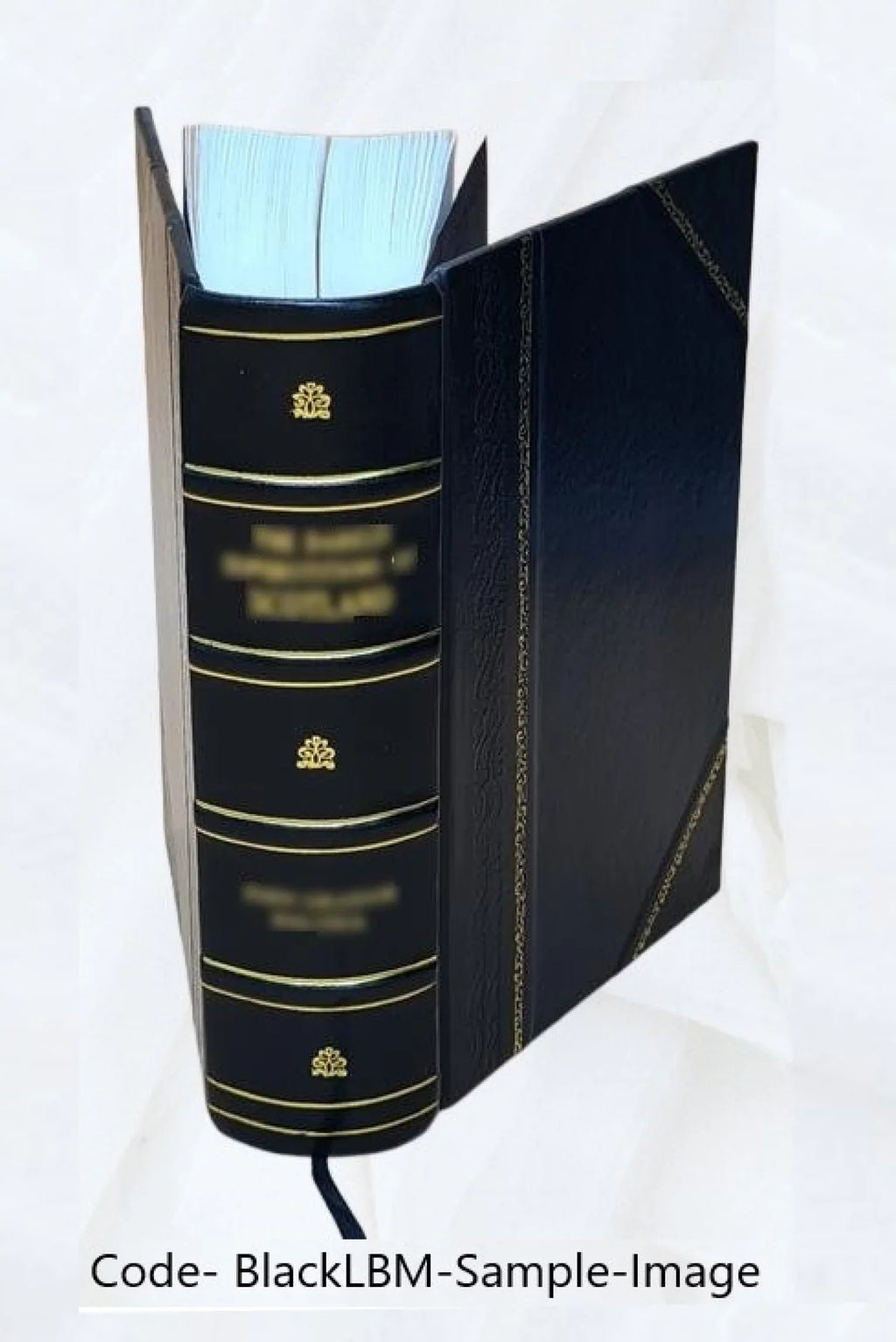 A system of the law of marine insurances; with three chapters on bottomry; on insurances on lives; on insurances against fire. By Sir James Allan Park, knt Volume v. 1 1842 [Leather Bound]