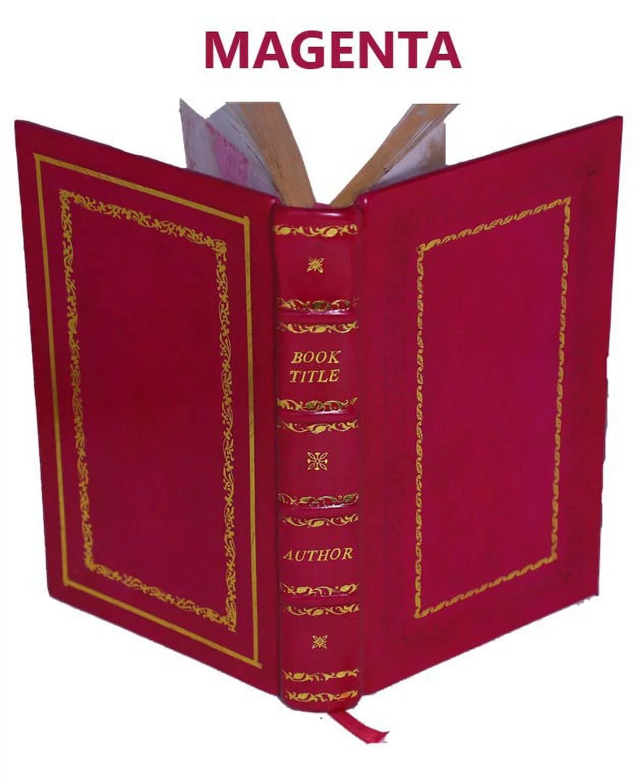 Clarence King memoirs. The helmet of Mambrino 1904 [Premium Leather Bound]