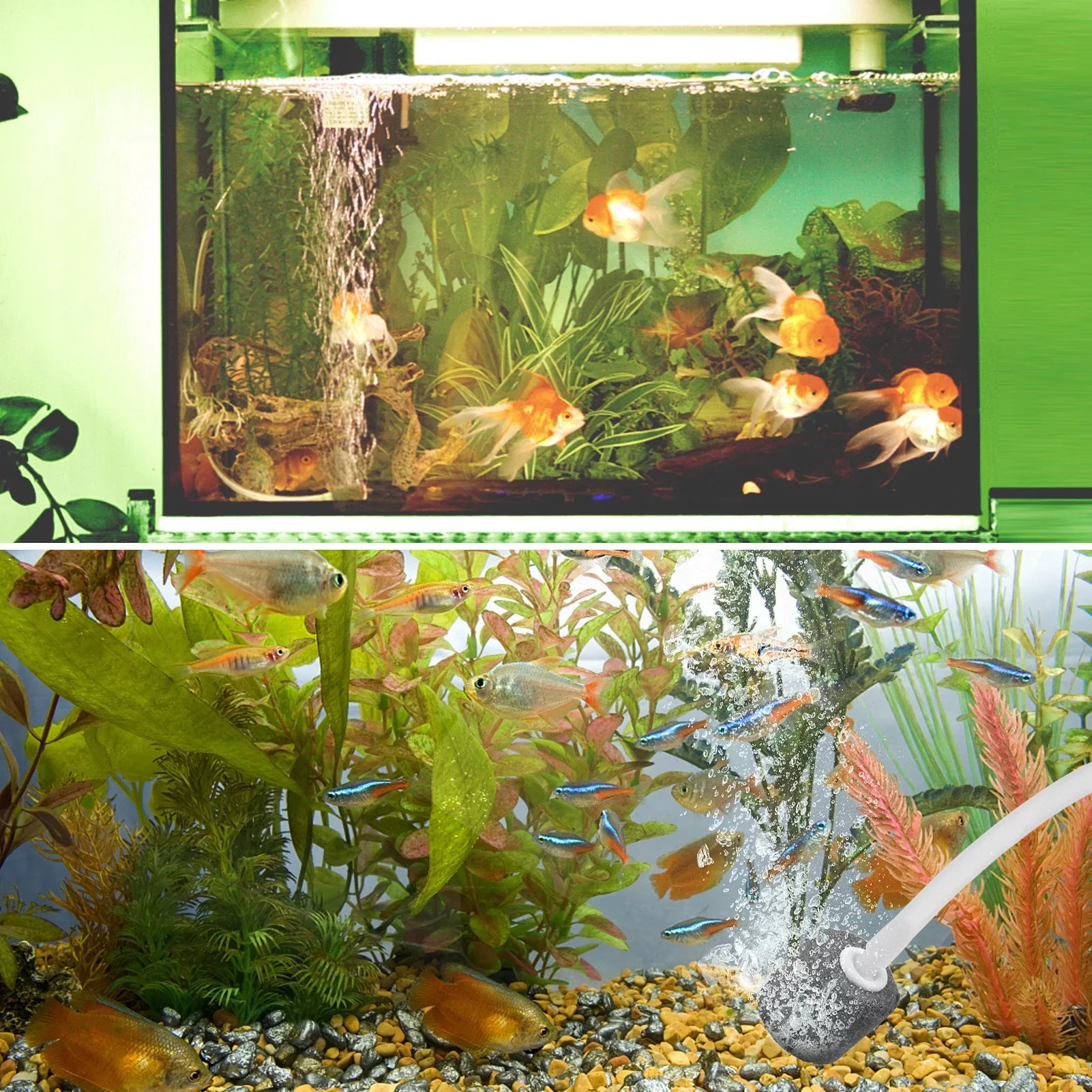 moobody 5.5V 1.5W Solar Air Pump Fish Tank Oxygenator with Aquarium Pipe & Air Bubble Stone Pond Oxygen Pump Aerator Rechargeable for Fishing Fish Tranportation Small Ponds Pools Water CircuLatitudeion