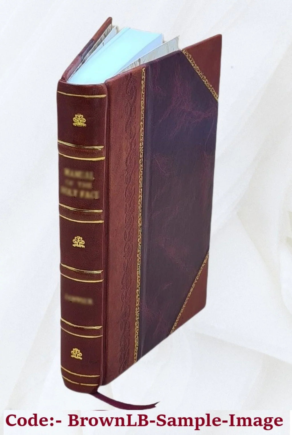 Storia della marca trivigiana e veronese di Giambatista Verci. Tomo primo tomo vigesimo 17 1790 [Leather Bound]