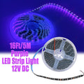 LED Lights Strip, Purple 300 LEDs Light Strips Kit for Bedroom, Home, Kitchen