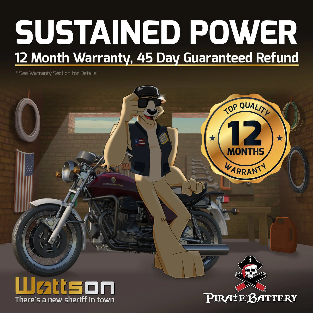 Pirate Battery YTX14-BS (14-BS 12 Volt,12 Ah, 200 CCA) Motorcycle Battery for Kawasaki 800cc Vn800-a, B, C, E Vulcan, Classic, Drifter 1995