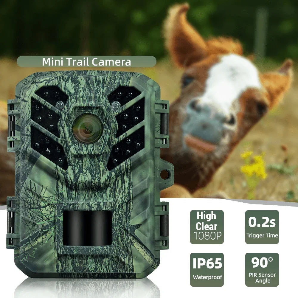 Pristin Camera,Weatherproof 0.2S Speed IP65 Weatherproof 0.2S Months Standby IP65 Camera Motion Small Camera Portable Animal/Plant Outdoor Use 6 Vision Camera Motion Speed Camera Portable