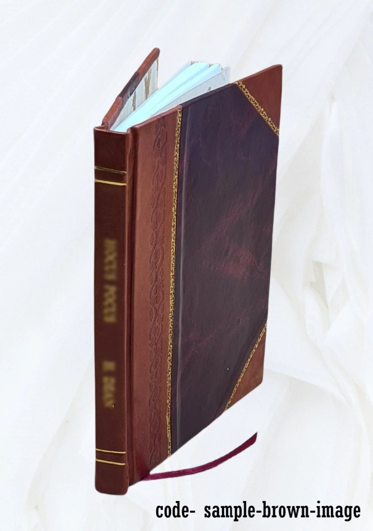 La aldea de San Lorenzo : melodrama en tres actos y un prólogo Volume v. 212, no. 11 1910 [Leather Bound]